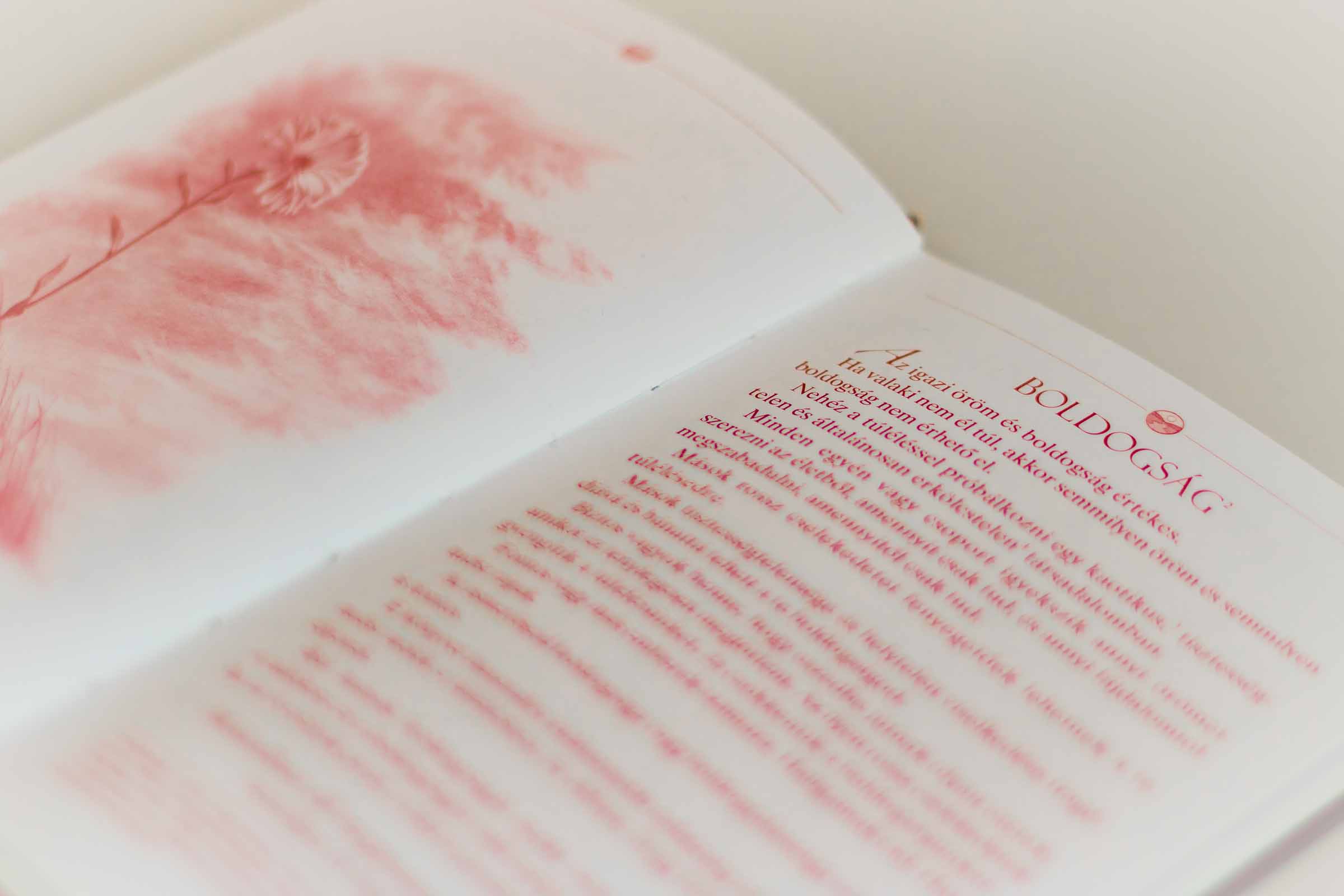 Az út a boldogsághoz